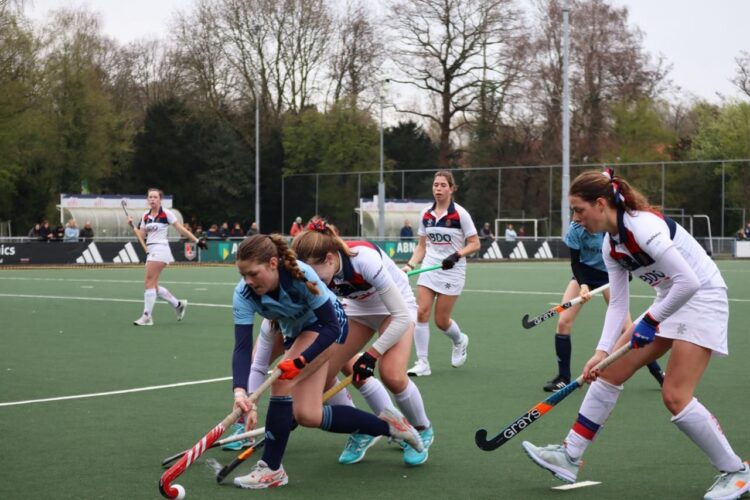 Guusjes Vermeulen - Long Island University - Hockey,