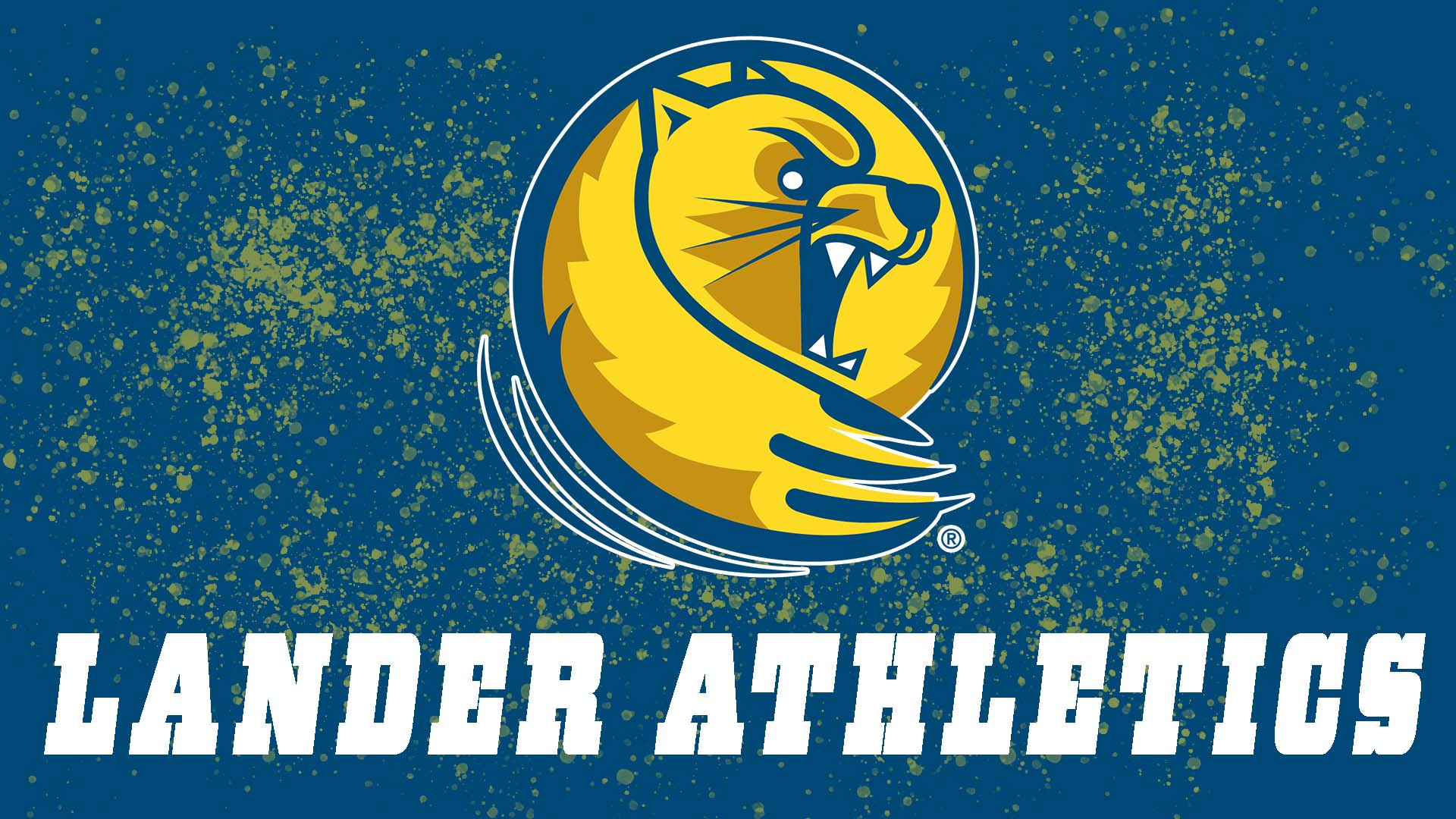 Lander University