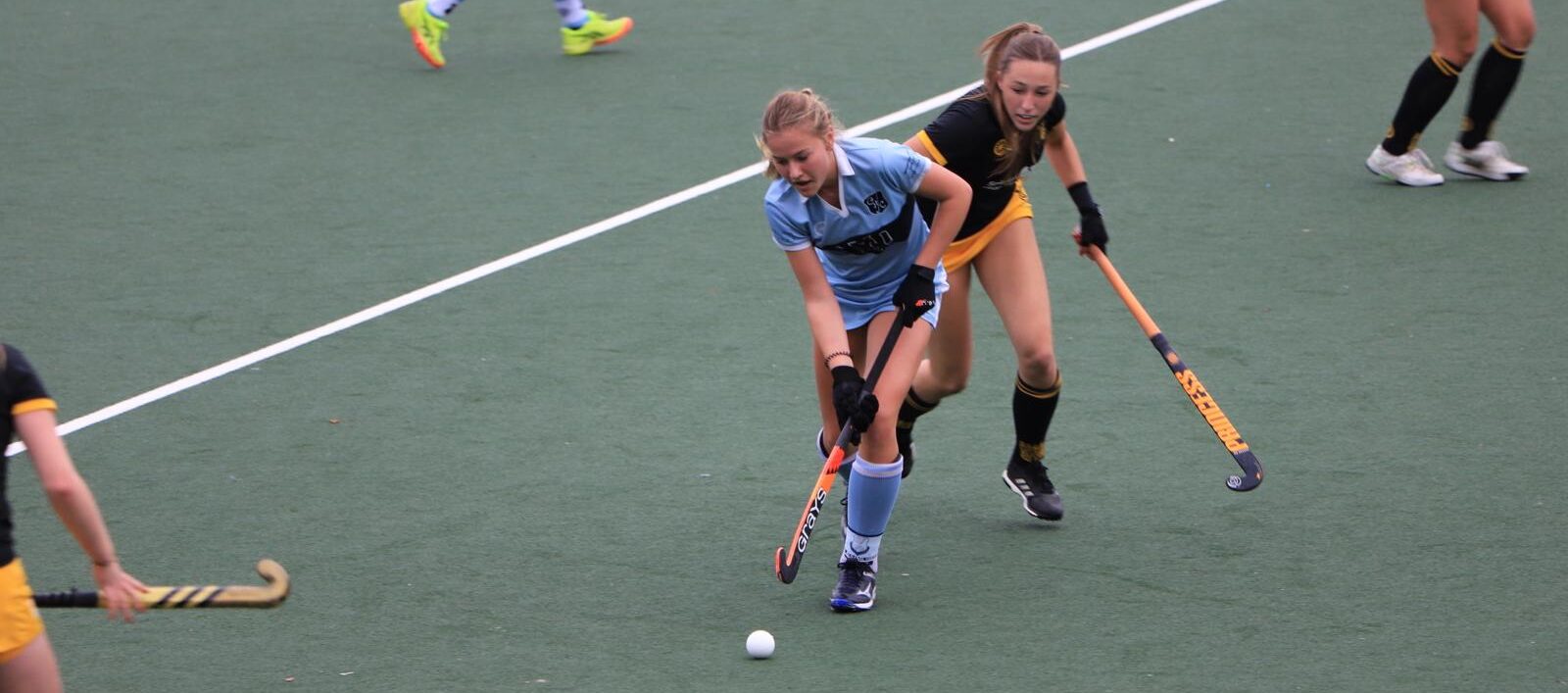 Rose Kooijmans - Harvard - Hockey
