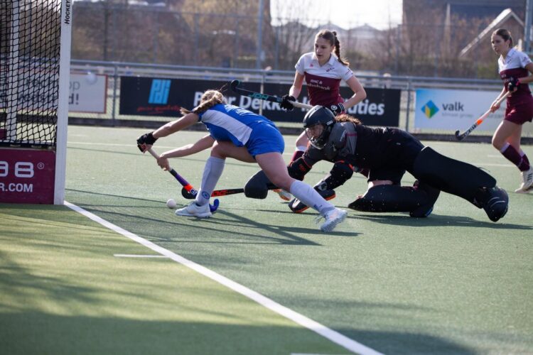 Tess Termars - Long Island University - Hockey,