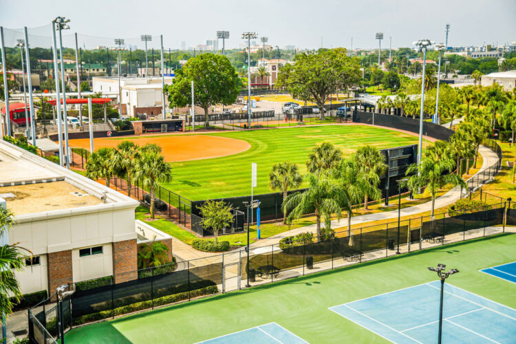 ut baseball